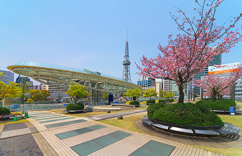 桜と芝生広場